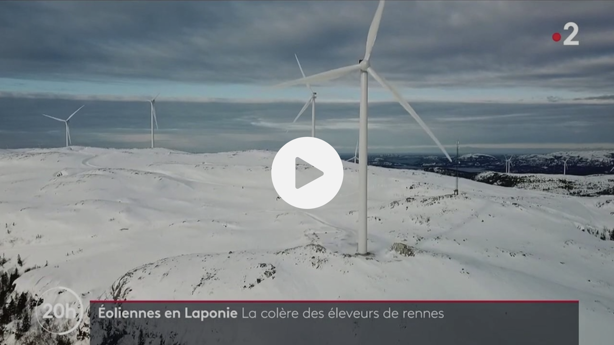 Éoliennes : en Laponie, les éleveurs de rennes protestent contre leur installation
