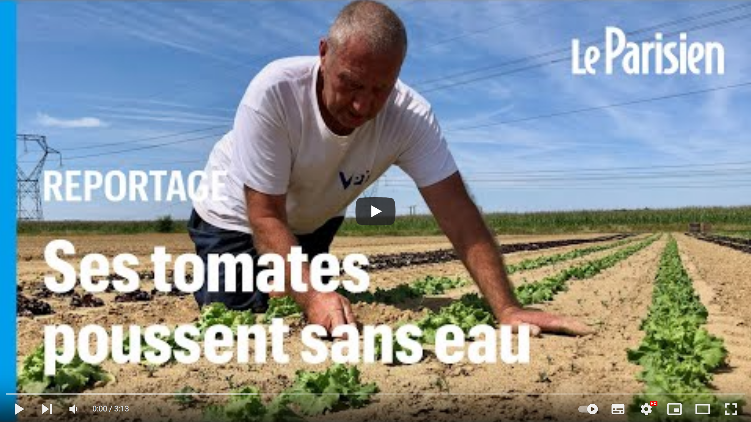 Cet agriculteur parvient à faire pousser des légumes sans une goutte d’eau (REPORTAGE)
