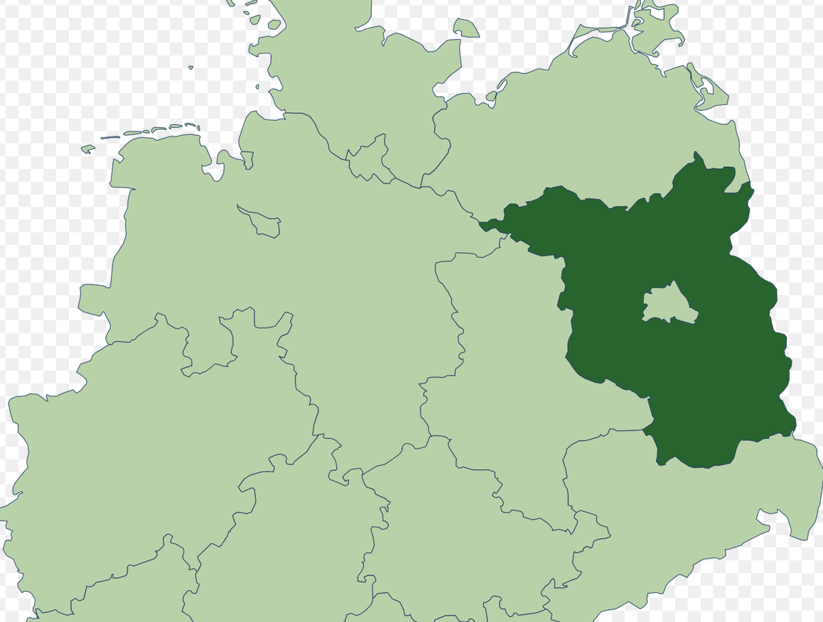 Brandebourg (Allemagne) : l’AfD donnée à 25 %