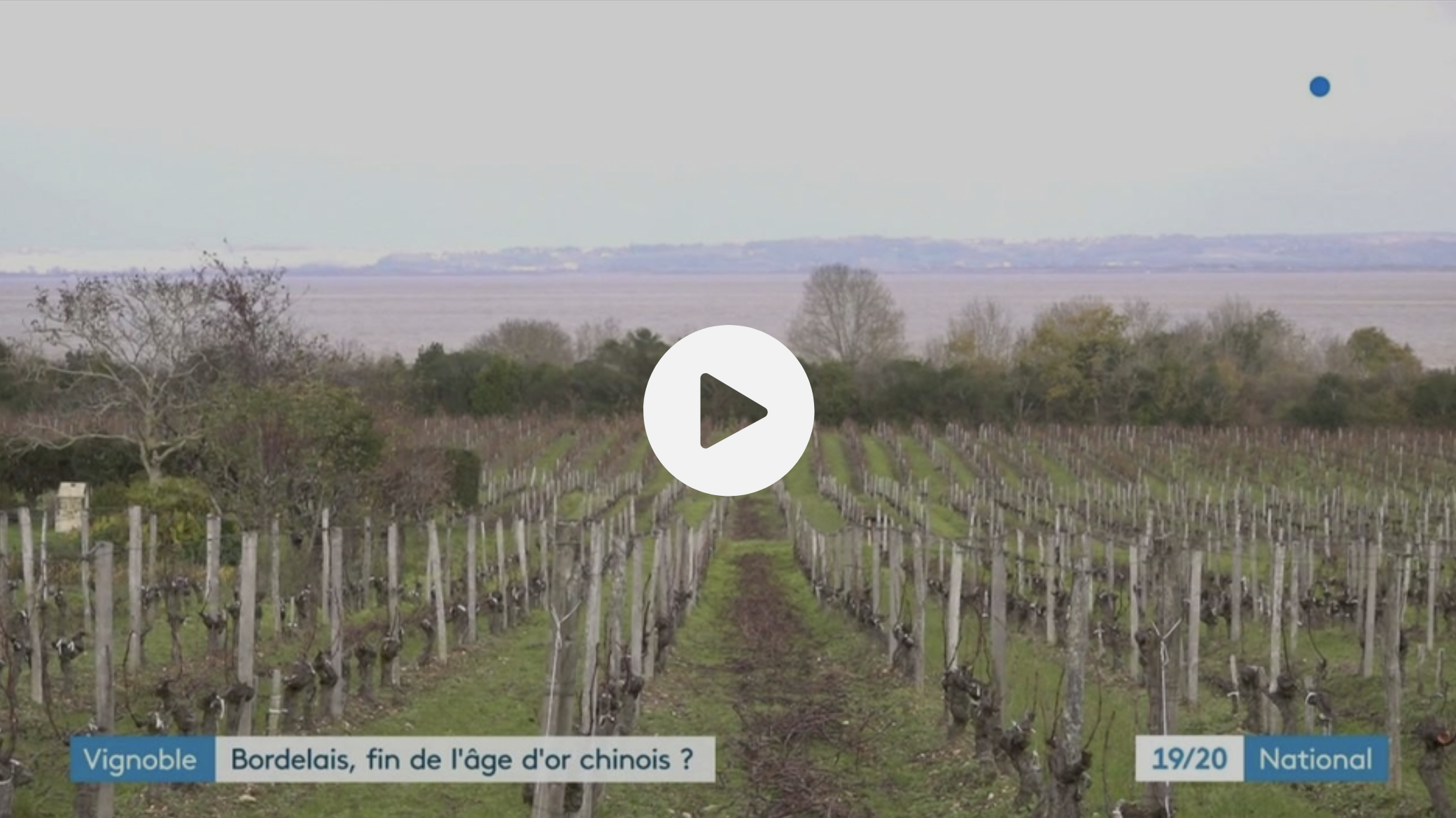 Vignoble bordelais : sur 200 domaines achetés par les Chinois, une cinquantaine est à vendre (ENQUÊTE)