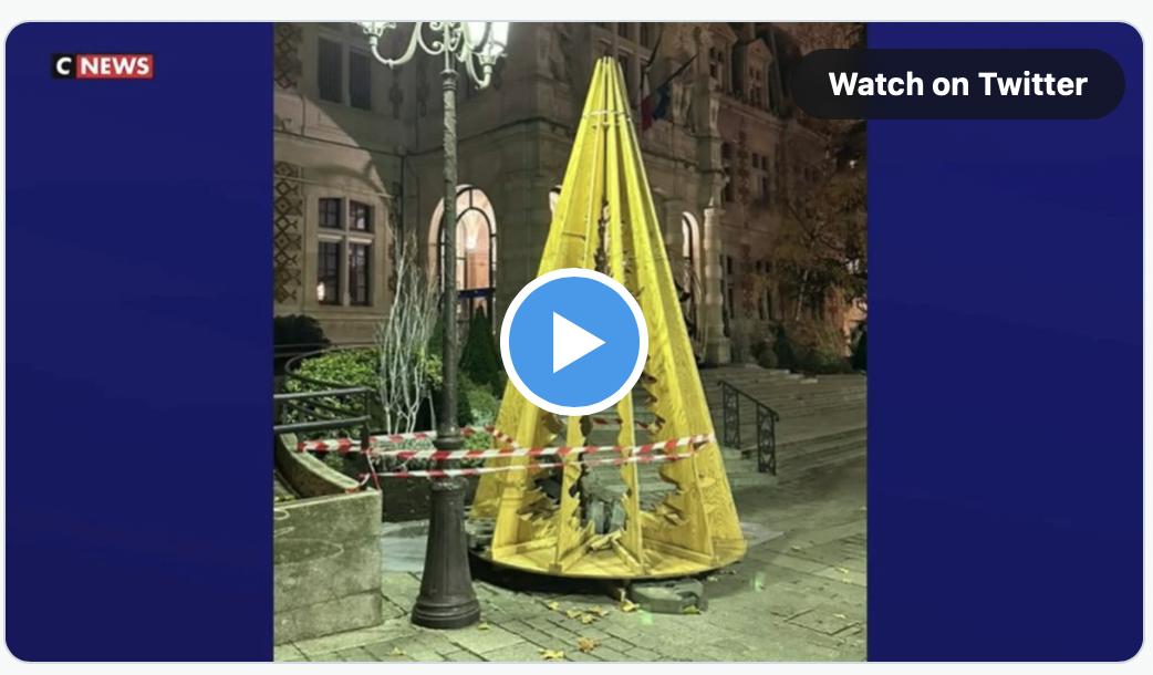 Le maire écolo du XIIe arrondissement de Paris inflige un horrible sapin de Noël à ses concitoyens… tout en postant une photo d’un magnifique spécimen prise lors de ses vacances à New-York