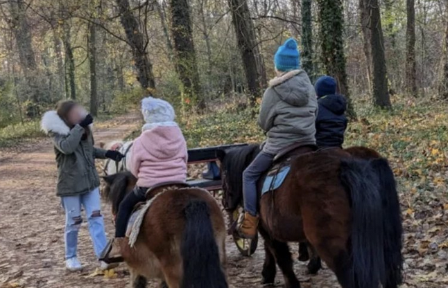 Quand les écolos ont un problème avec les balades à poney pour les enfants