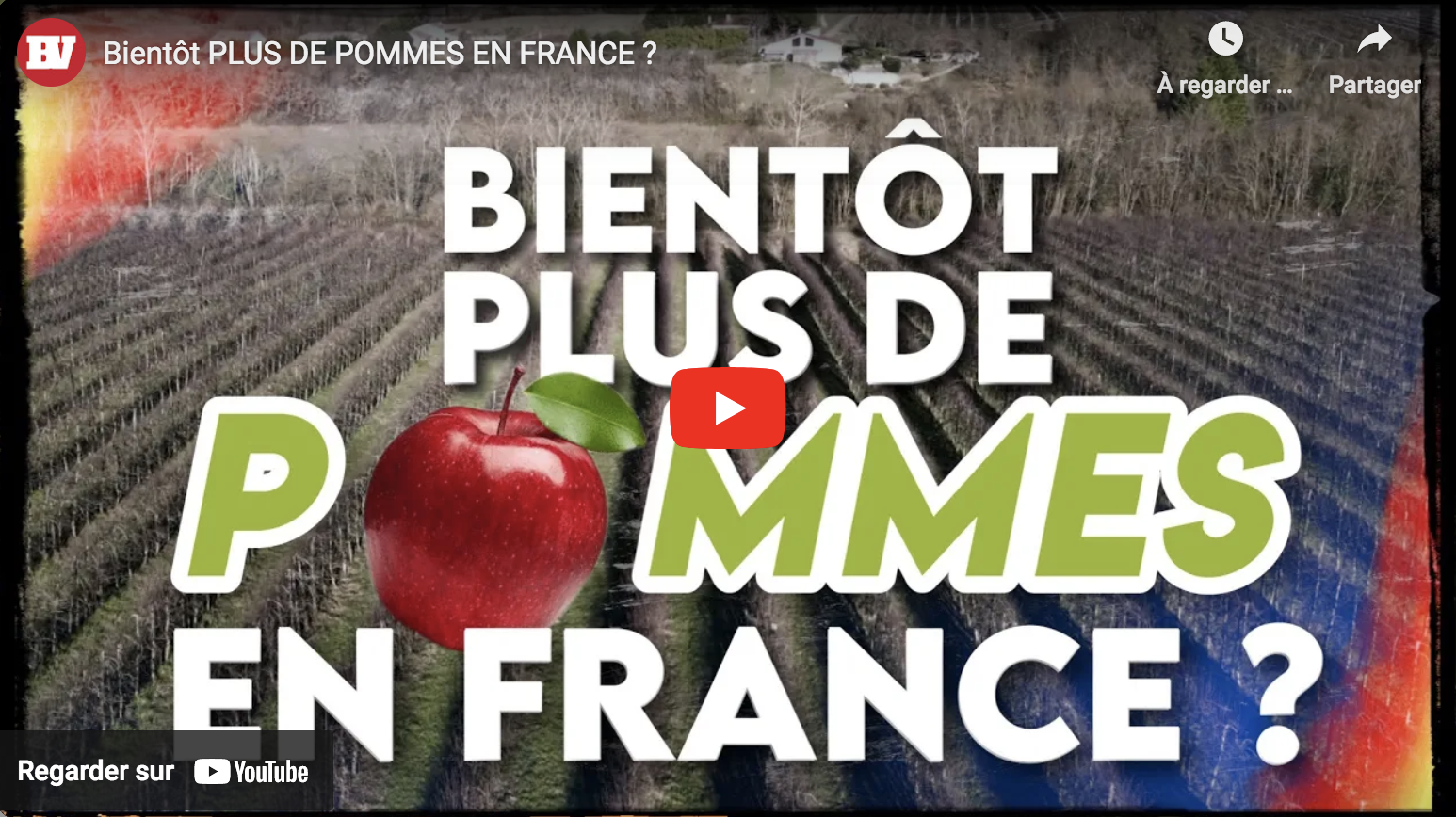 Bientôt plus de pommes en France ?