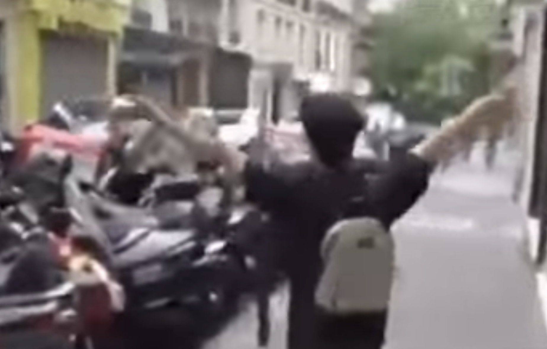 Quand l’homosexuel militant Bilal Hassani se moquait des victimes du Bataclan… et pas uniquement (VIDÉO)