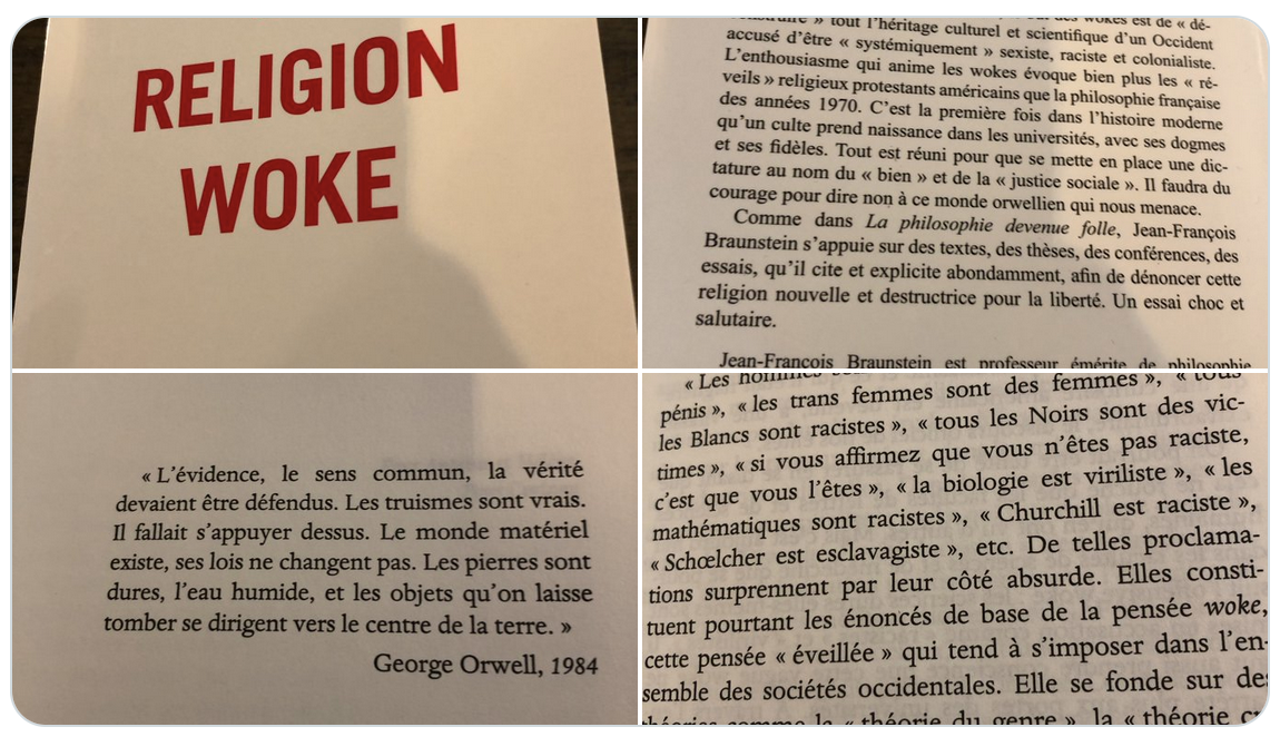 Le wokisme, une religion universitaire