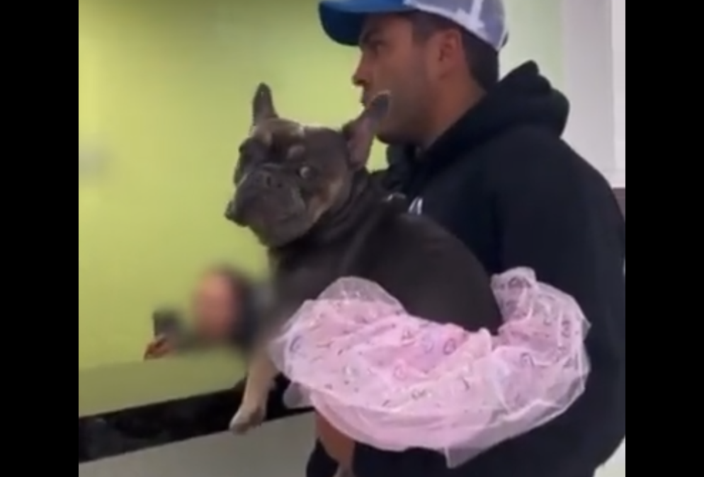 Il trolle une clinique vétérinaire en demandant une transition pour son chien (VIDÉO)