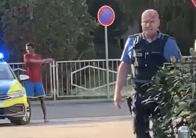 Le visage en sang, un policier allemand laisse un immigré africain casser sa voiture sans broncher (VIDÉO)