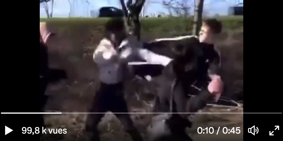 Faites comme ce jeune Allemand de souche : apprenez à vous battre pour vous défendre contre ces immigrés qui agressent en meutes (VIDÉO)